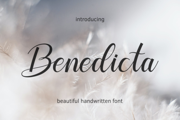 Benedicta Script Font: A Designer’s Choice for Authentic Branding