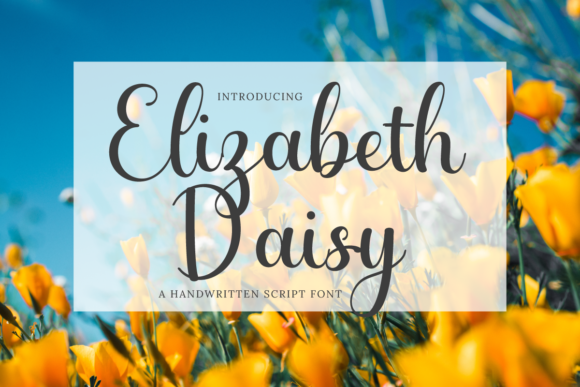 Elizabeth Daisy Font: A Web Designer’s Honest Test for Online Branding
