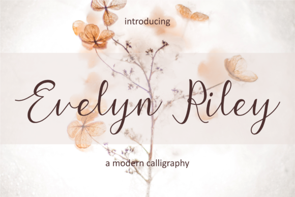 Evelyn Riley: A Dainty Script Font Perfect for Delicate Branding