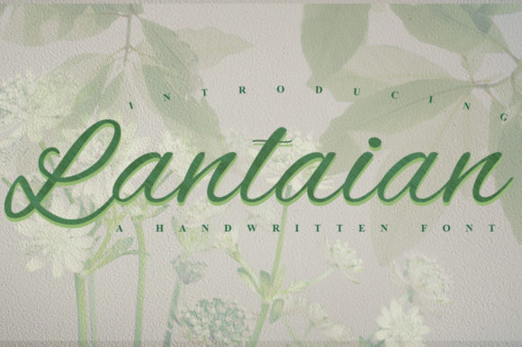How Lantaian Became the Font That Gave My Small Business a Fresh Start