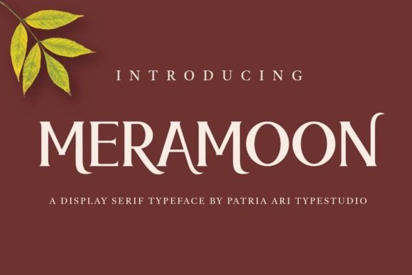 Meramoon Font: Handwritten Elegance for Brand Campaigns